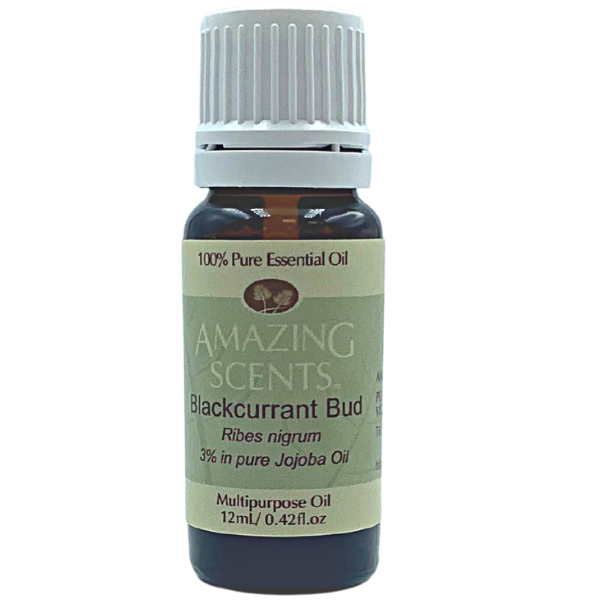 Blackcurrant Bud