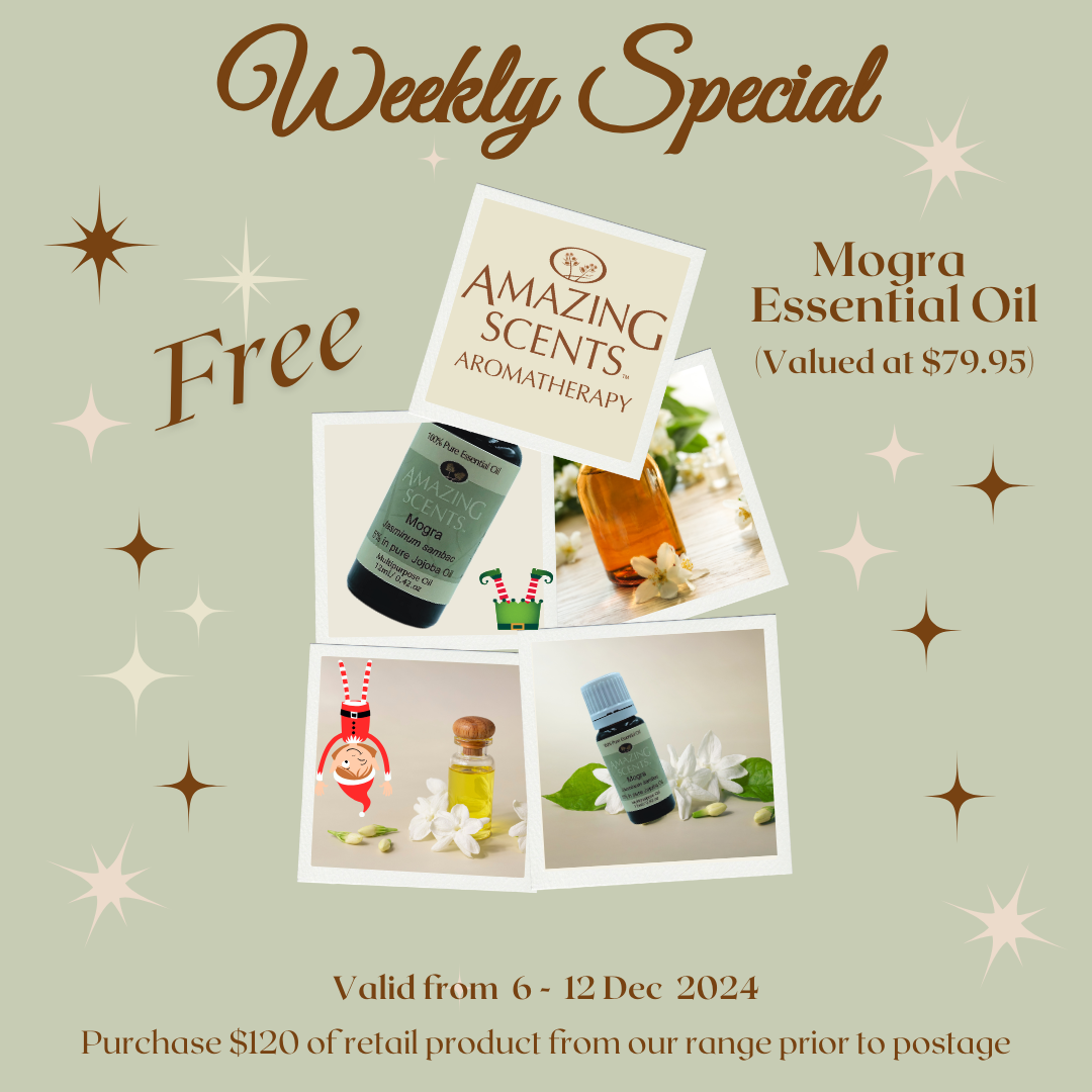 Weekly Special - Dec 24 - W2