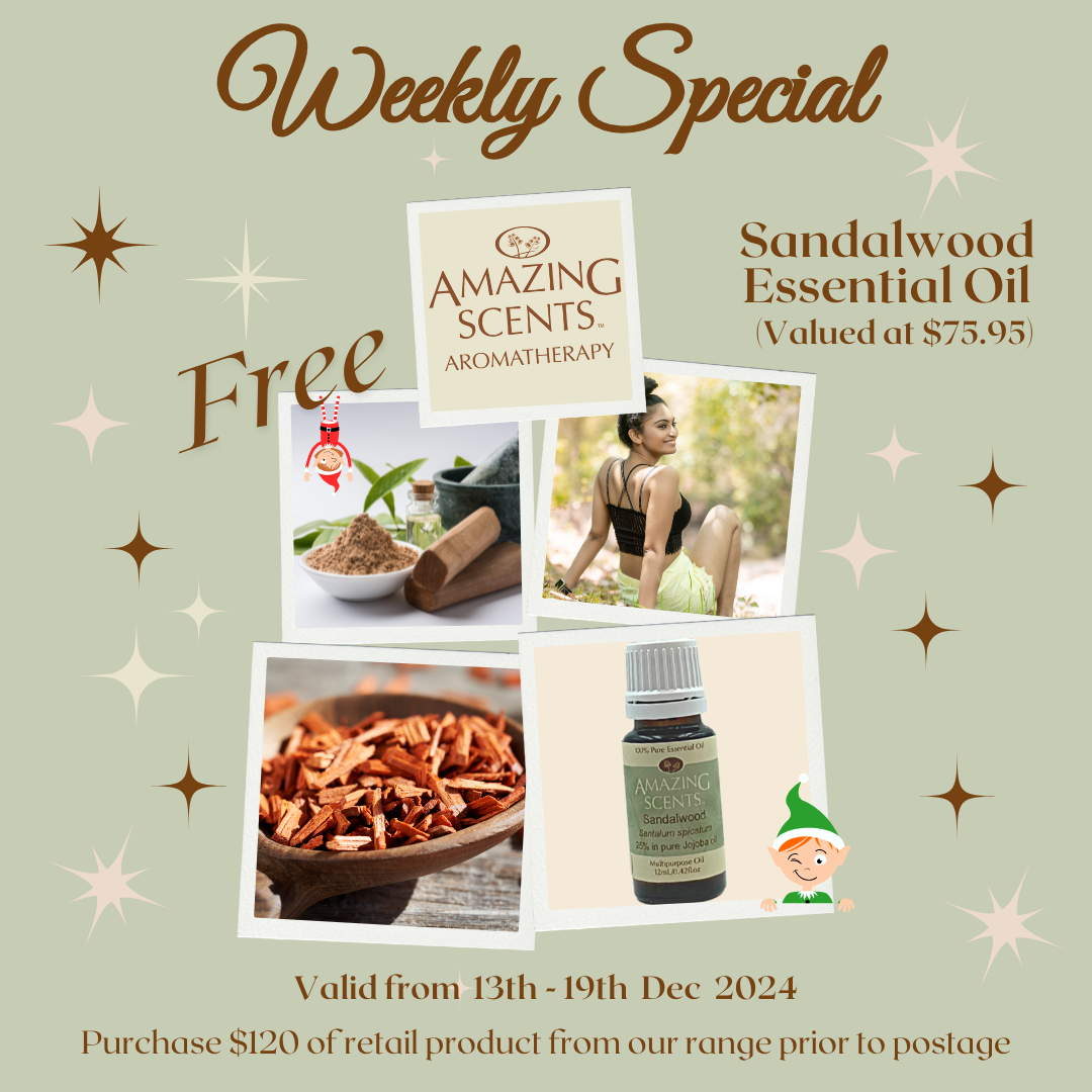 Weekly Special - Dec 24 - W3