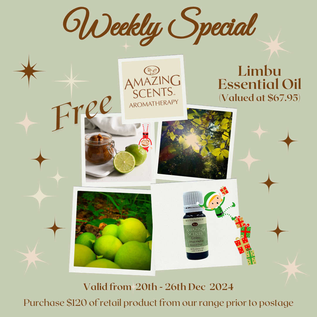 Weekly Special - Dec 24 - W4