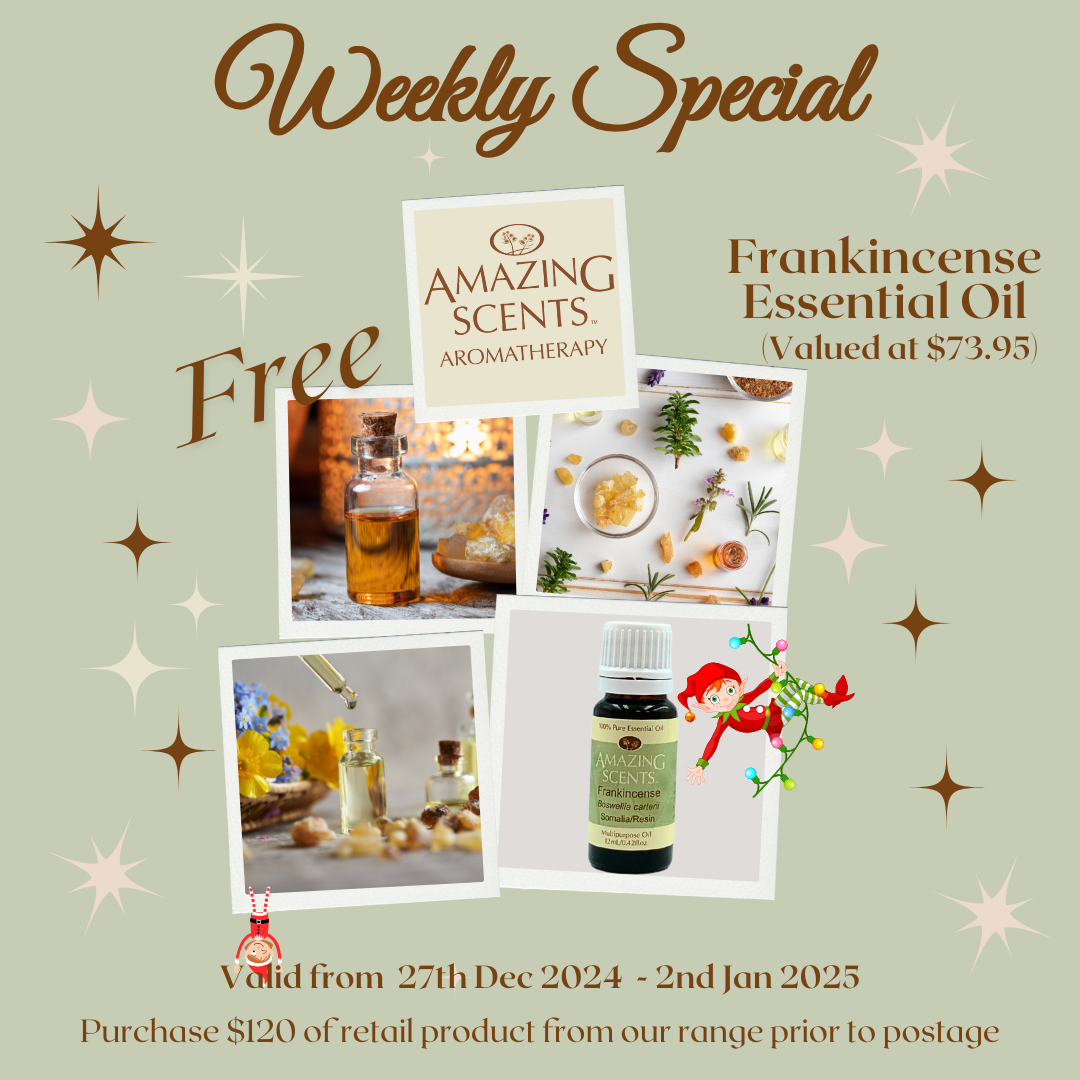 Weekly Special - Dec 24 - W5