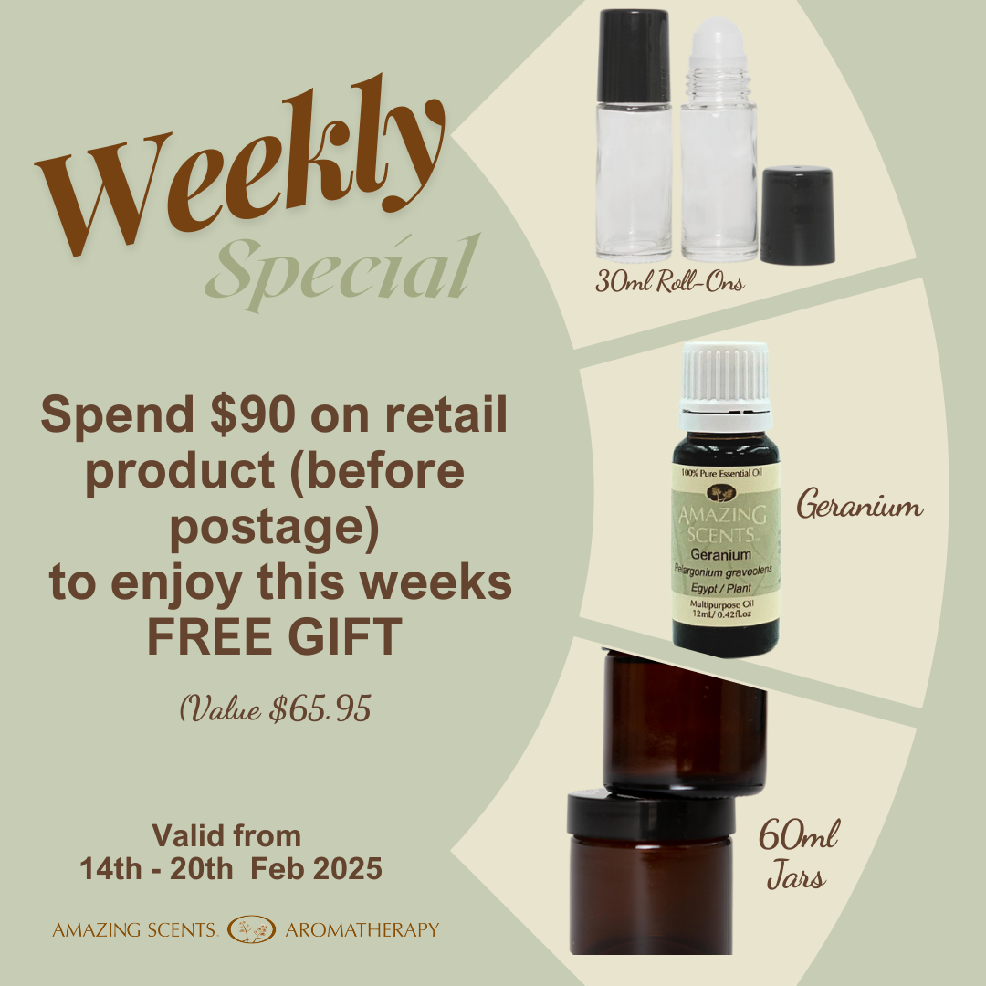 Weekly Special - Feb 25 - W3