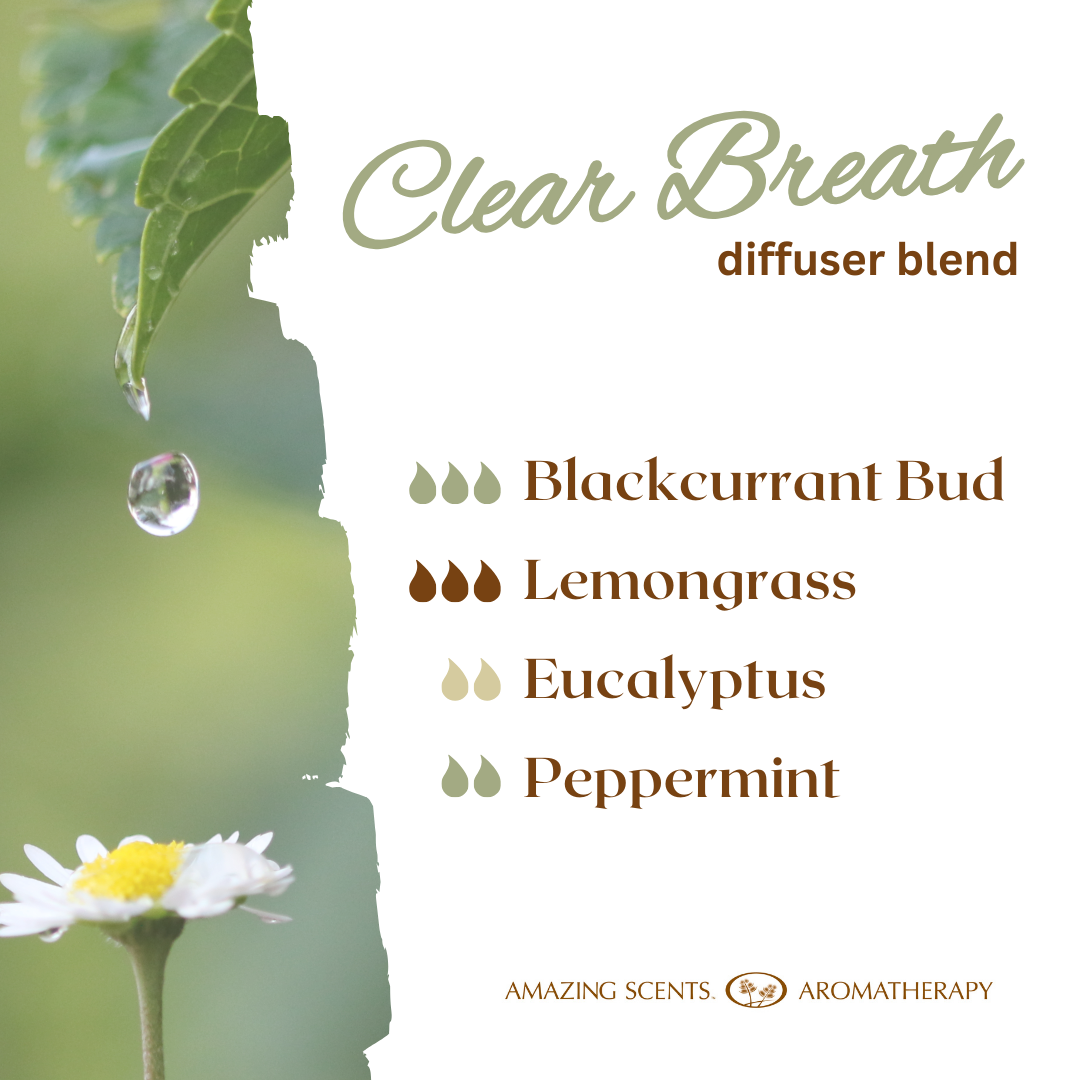 Diffuser Blend