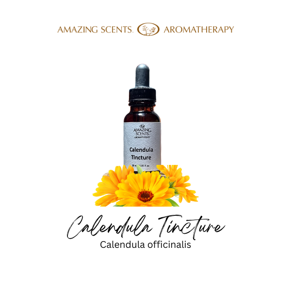 Calendula