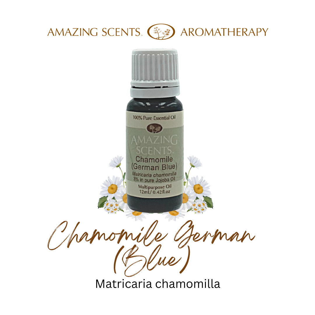 Chamomile German Blue – 3% in Jojoba