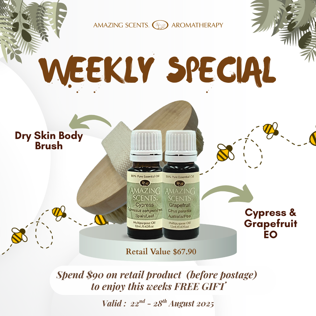 Weekly Special - Aug 25 - Wk4
