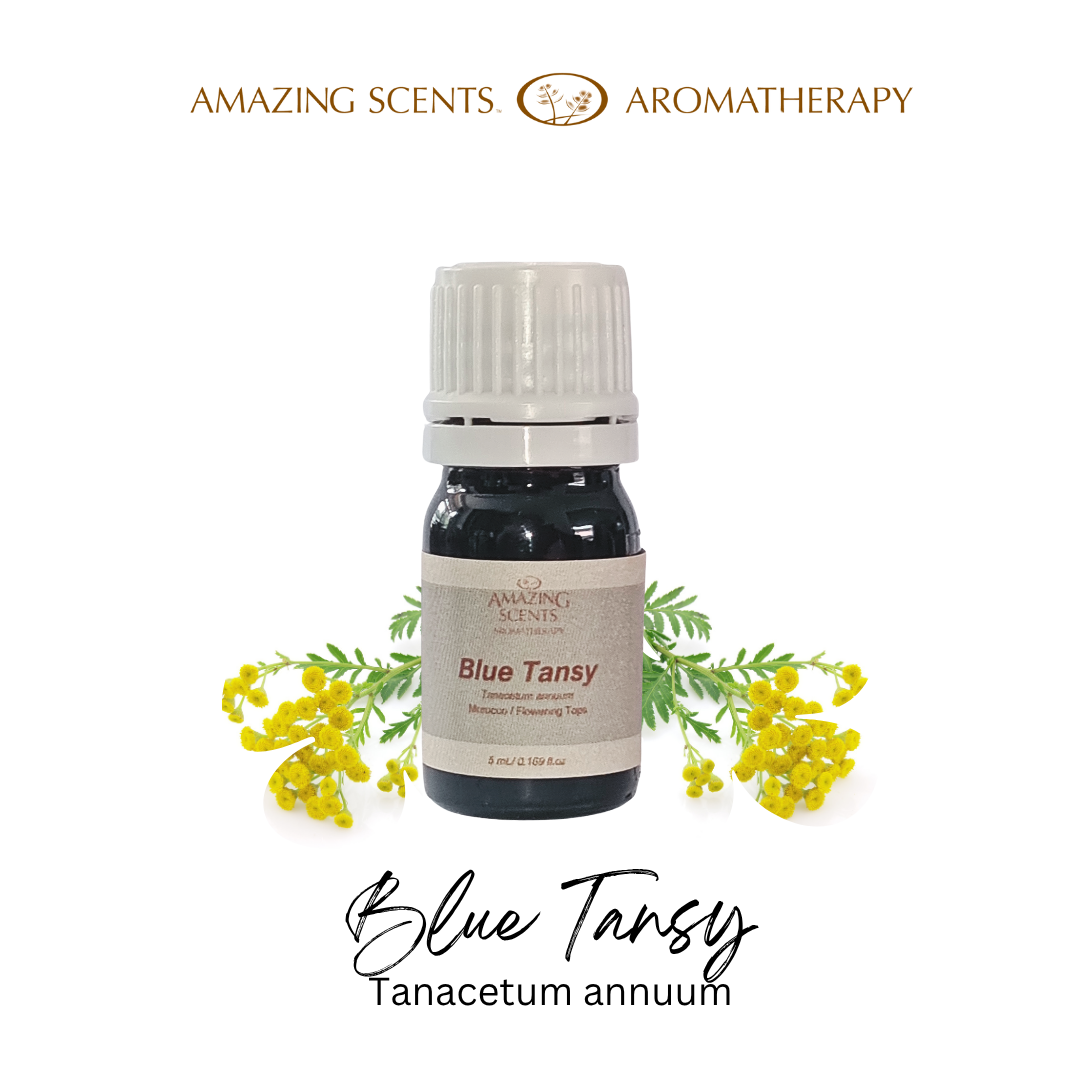 Blue Tansy