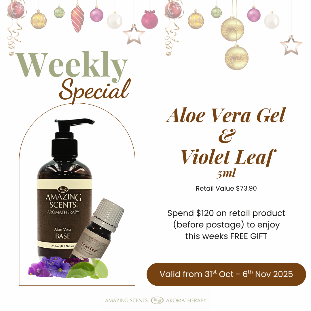 Weekly Special - Nov 25 - Wk1