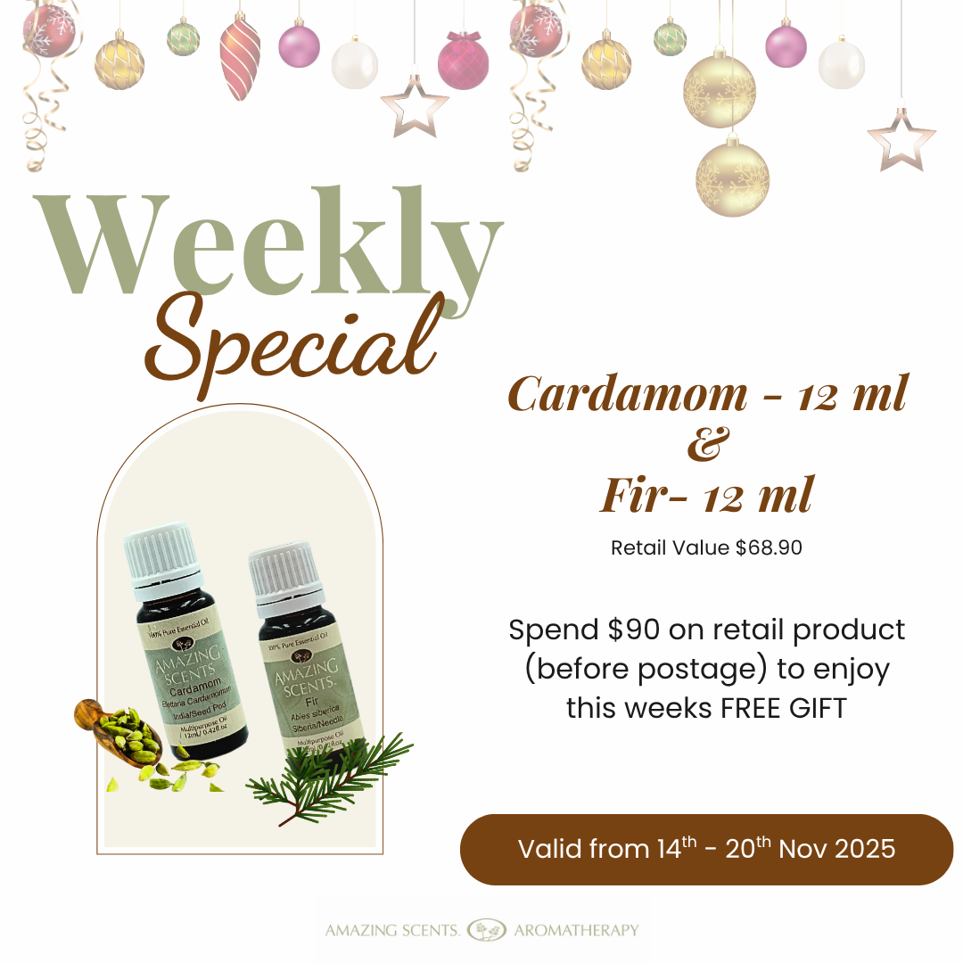 Weekly Special - Nov 25 - Wk3
