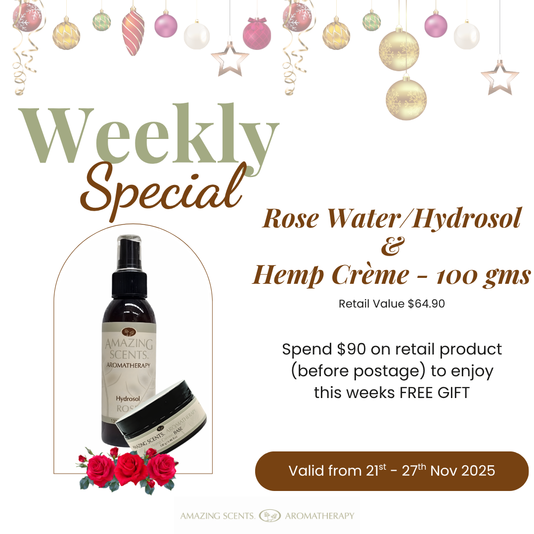 Weekly Special - Nov 25 - W4