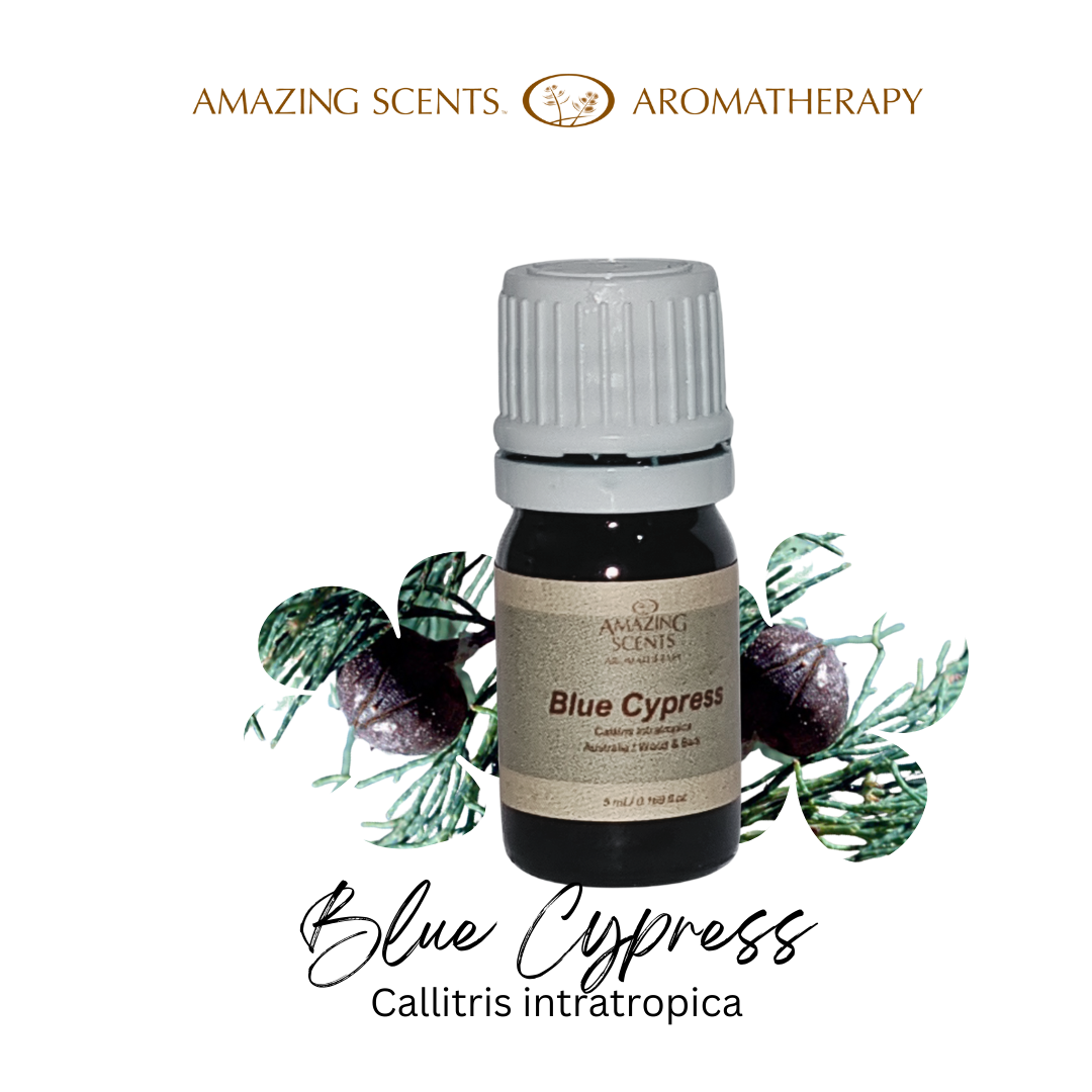 Blue Cypress - 5 ml
