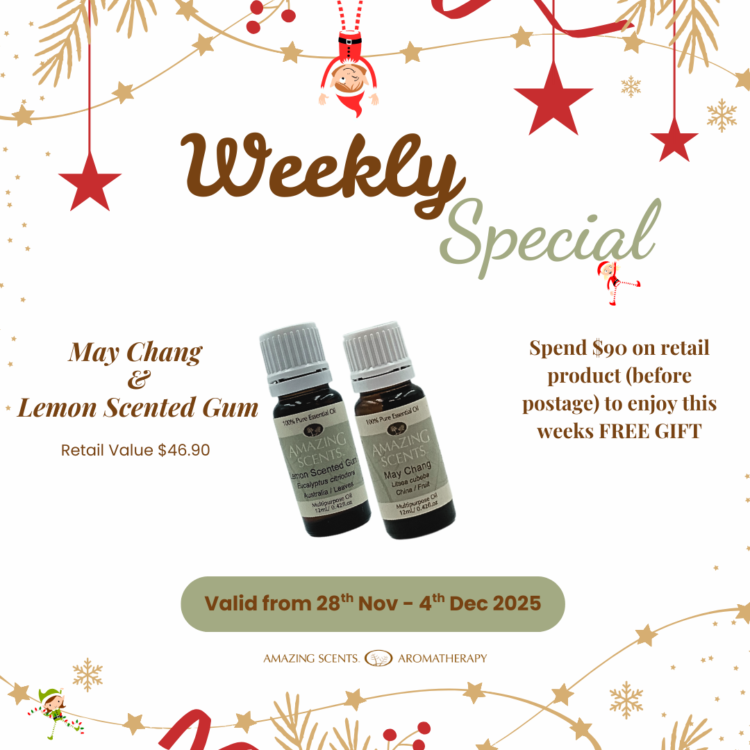 Weekly Special - Dec25 - Wk1