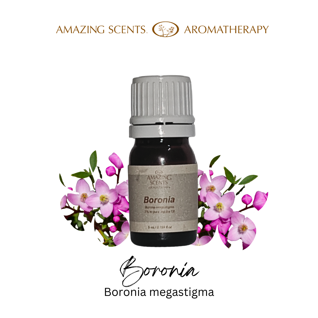 Boronia - 5ml
