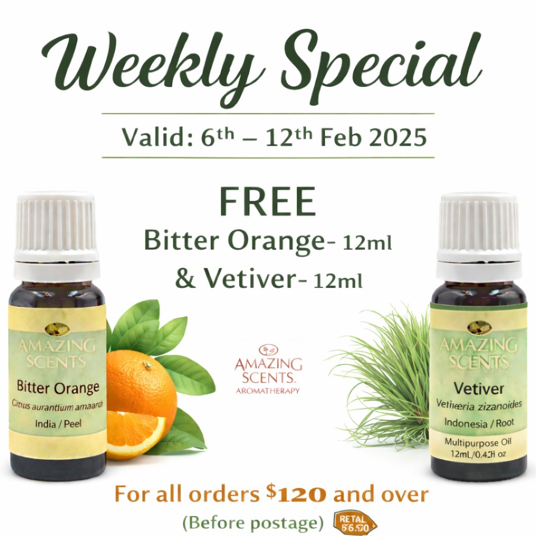 Special - Feb 26 - Wk2