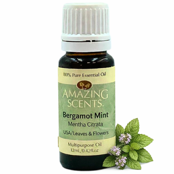 Bergamot Mint