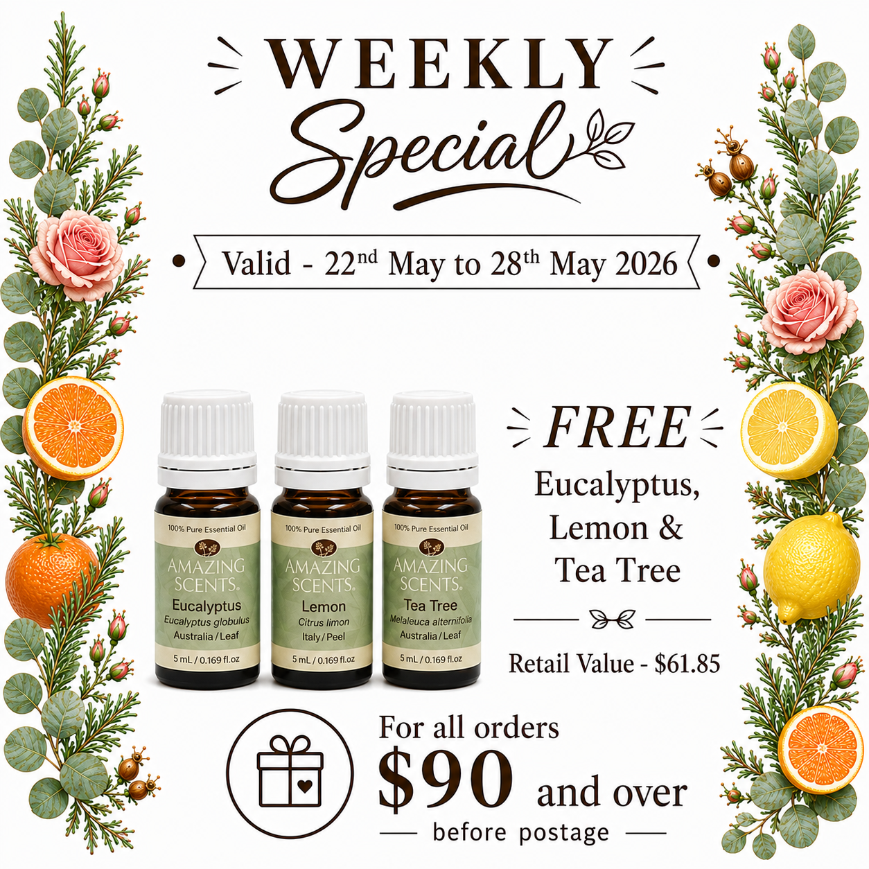 Special  - May26 - Wk4