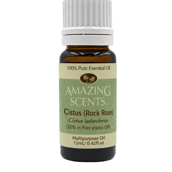 Cistus (Rock Rose)